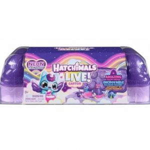 Hatchimals Игровой набор "Neon Rainbow" (6072615)